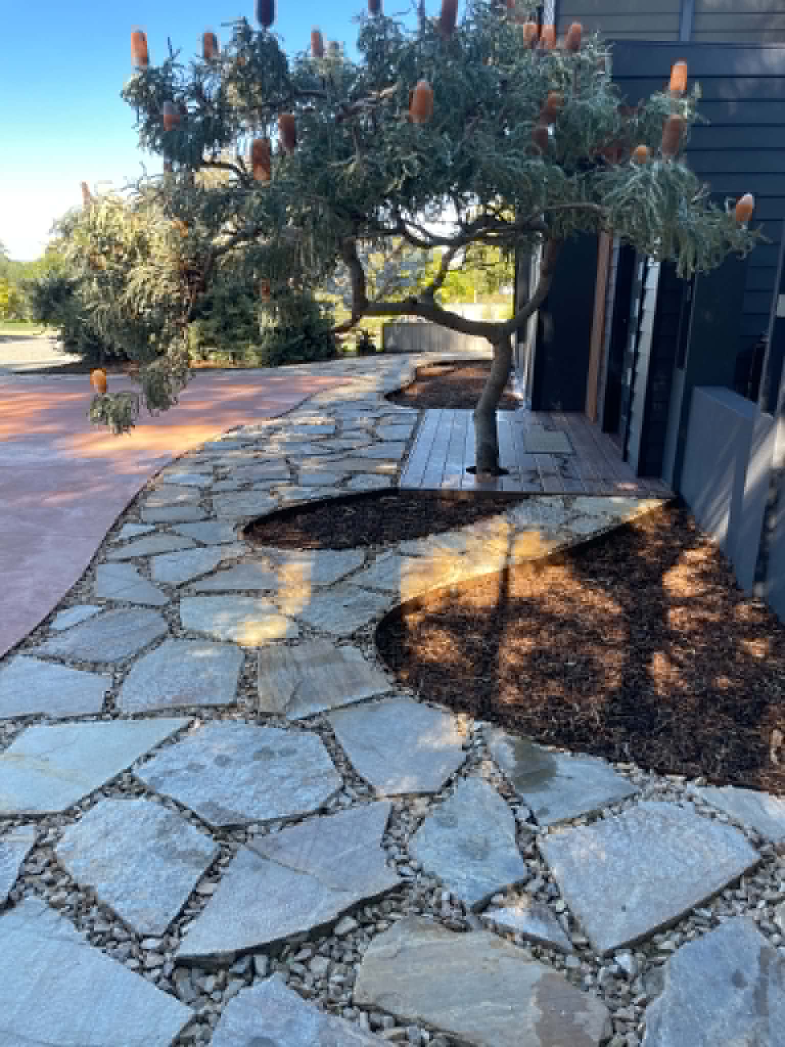 Garden Edging
